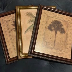 3 Palm tree decorative pictures